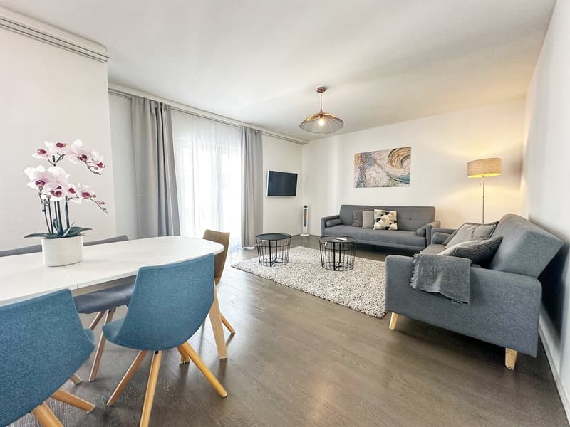 Appartement neuf et meublé - Centre-ville (7)