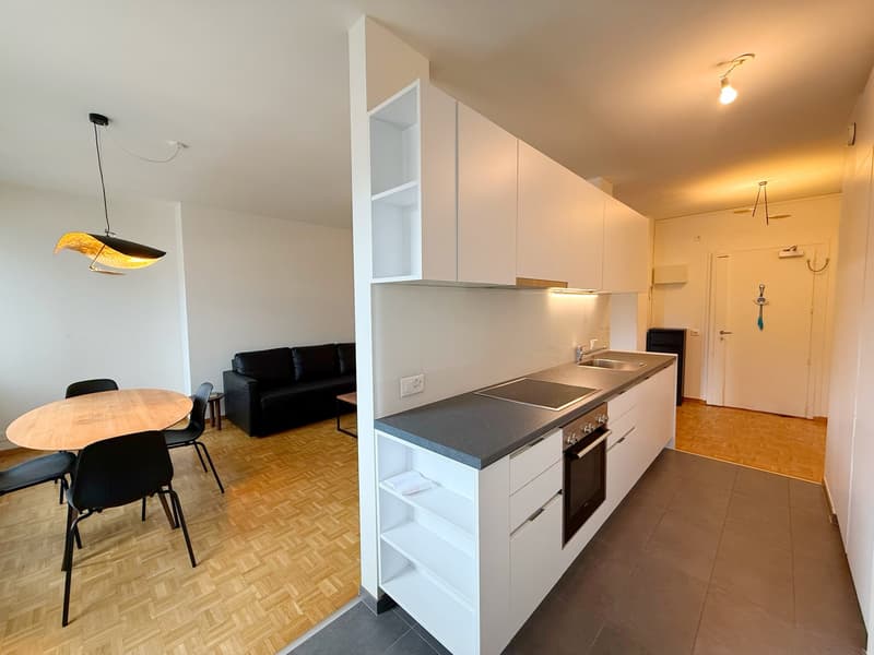 Magnifique appartement entièrement meublé Rue du Rhône (UNE ANNEE) (3)
