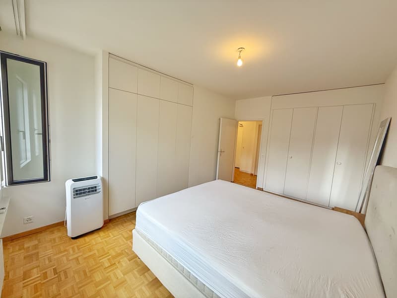 Magnifique appartement entièrement meublé Rue du Rhône (UNE ANNEE) (8)