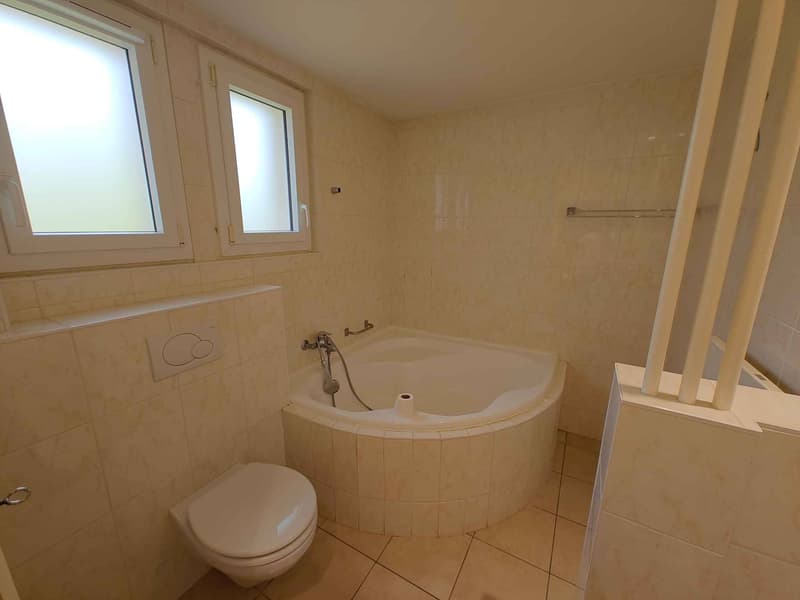 Bello appartamento di 4,5 locali con vista sul lago (4)