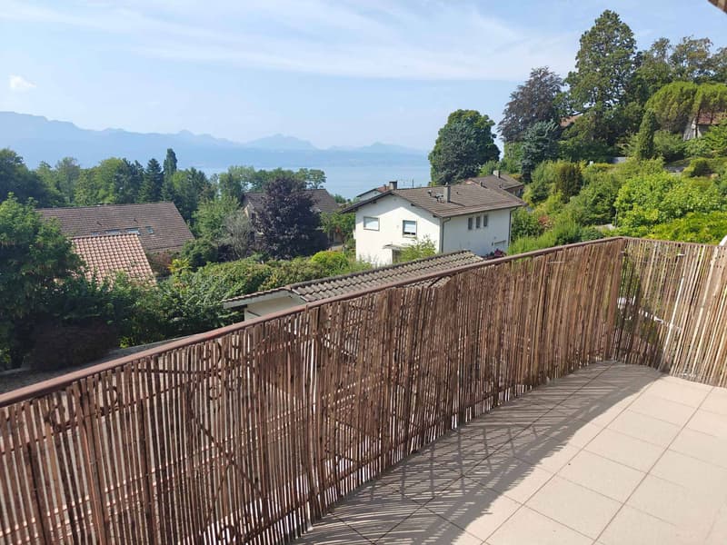 Bello appartamento di 4,5 locali con vista sul lago (1)