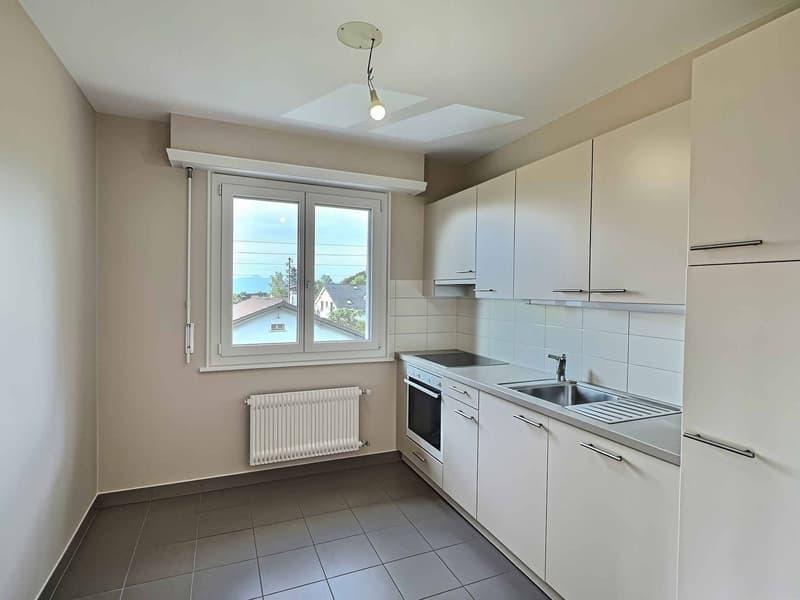 Splendido appartamento in affitto in un quartiere residenziale tranquillo di Losanna (1)