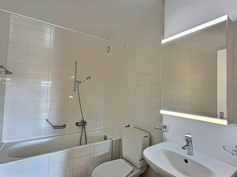 Splendido appartamento in affitto in un quartiere residenziale tranquillo di Losanna (2)