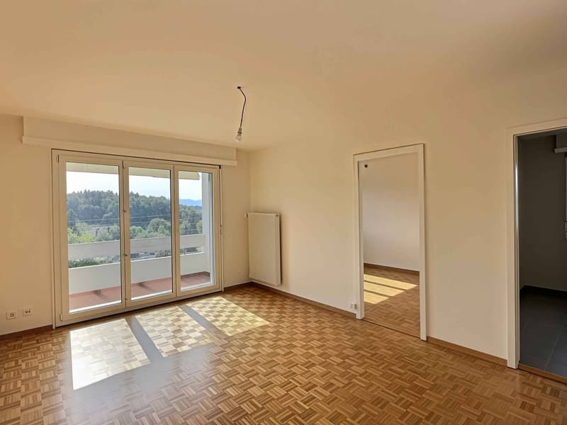 Splendido appartamento in affitto in un quartiere residenziale tranquillo di Losanna (3)