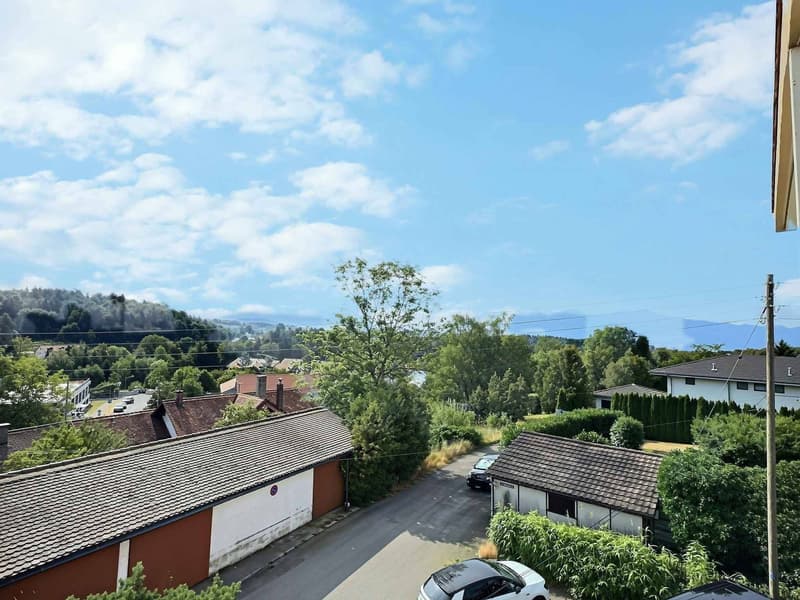Splendido appartamento in affitto in un quartiere residenziale tranquillo di Losanna (6)