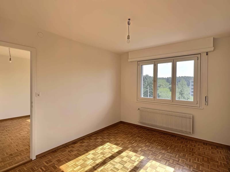 Splendido appartamento in affitto in un quartiere residenziale tranquillo di Losanna (4)