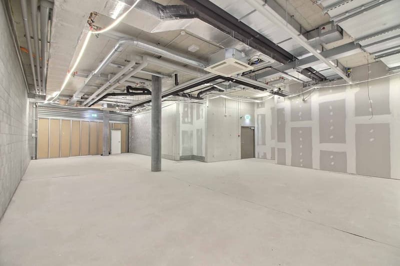 GRATUITÉ DE 2 MOIS - Arcade commerciale de 143 m² au cur du centre commercial La Chiésaz (5)