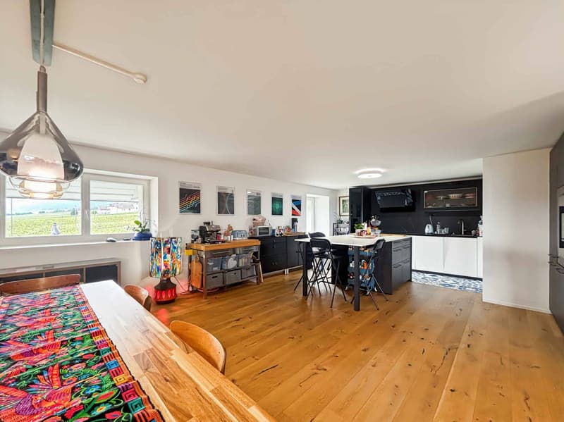 Triplex 6.5 rooms with lake view, completely renovated (4)