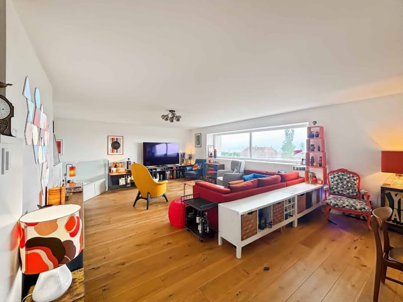 Triplex 6.5 rooms with lake view, completely renovated (2)
