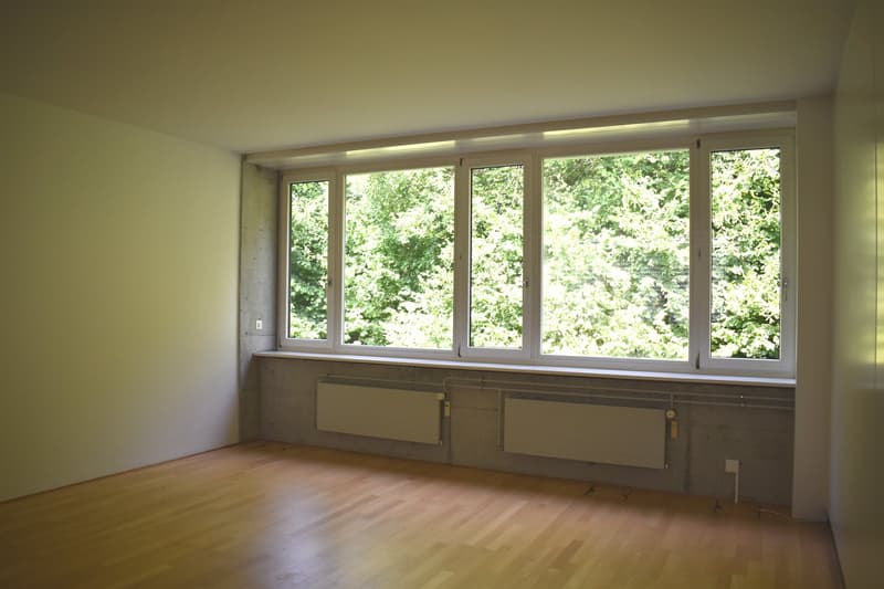 Empty room, hardwood floors, white walls, large windows, central heating system installed on wall under windows.