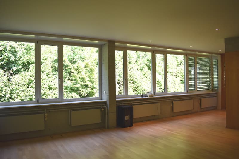 A large empty room with several windows, wooden floors, and radiators along the wall.