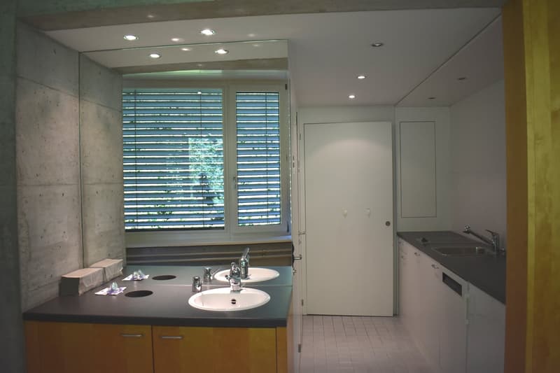 Countertop with double sink, mirror, cabinets, tiles, windows with blinds, sink with faucets, light fixtures on ceiling