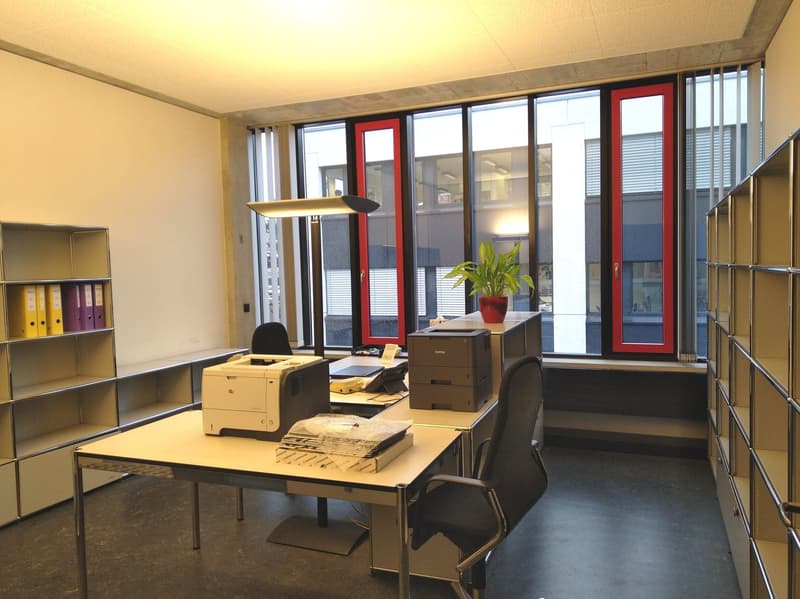 The image shows an office space with a desk, chair, printer, and shelving units. The room has large windows with red frames, providing natural light. There is a potted plant on the desk, adding a touch of greenery to the space.
