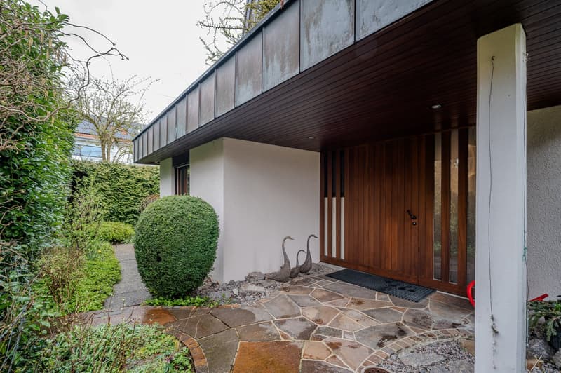 modern house, white walls, brown wooden door, stone pathway, garden with bushes and plants