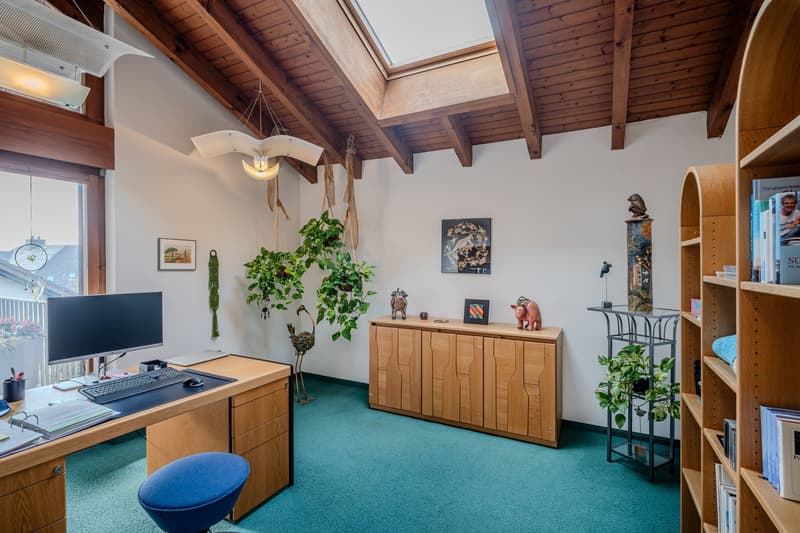 wooden desk, blue chair, monitor, keyboard, mouse, books, wooden cabinet, plants, picture frames, wooden ceiling