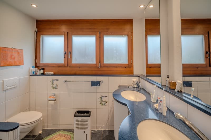 Bathroom with white tiles, blue countertop, two sinks, mirror, wooden windows, toilet, and a rug.