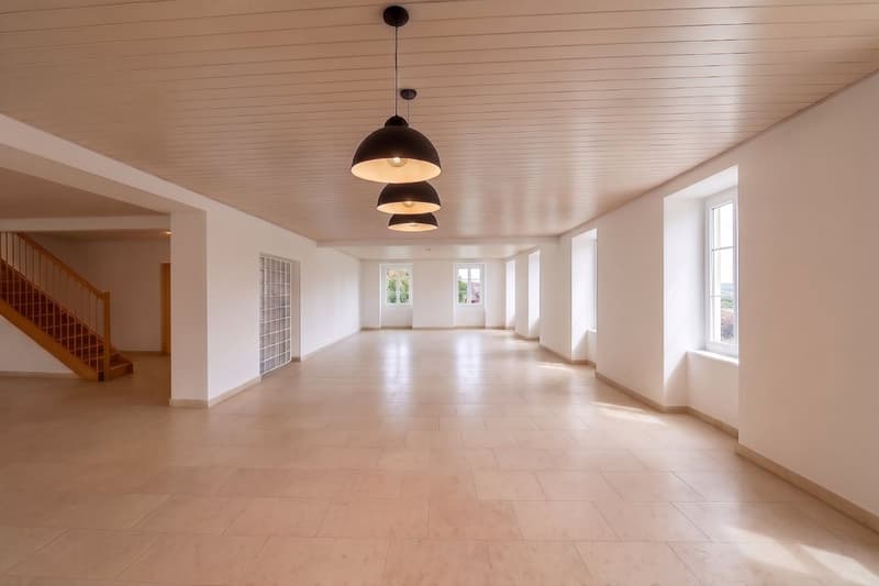 UNIQUE: 8.5-room house with terrace and landscape view (12)