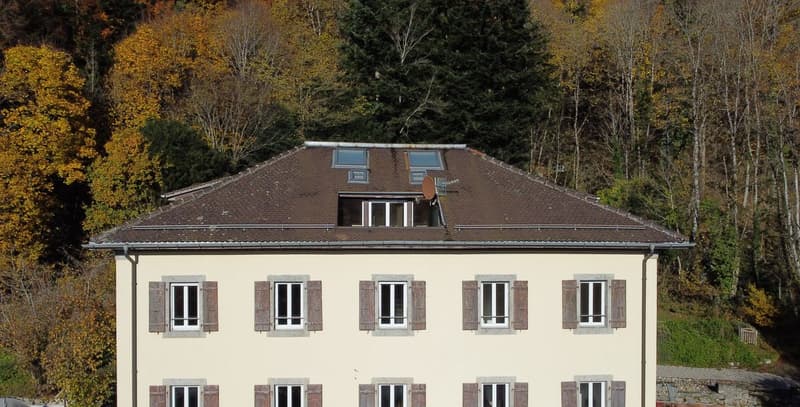 Propriété de caractère de 8.5 pièces avec vue sur la campagne (12)