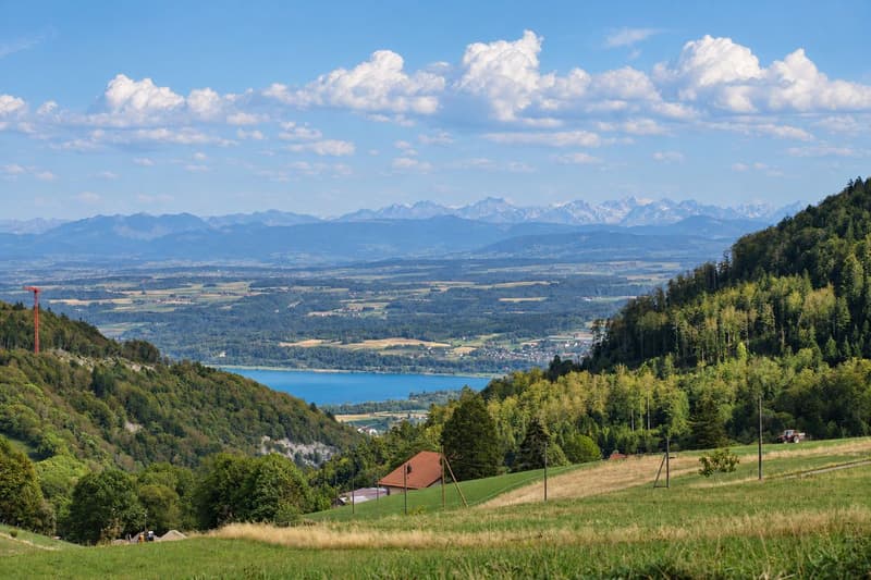 Un attique d'exception de 4.5 pièces avec le lac et les Alpes pour horizon (11)