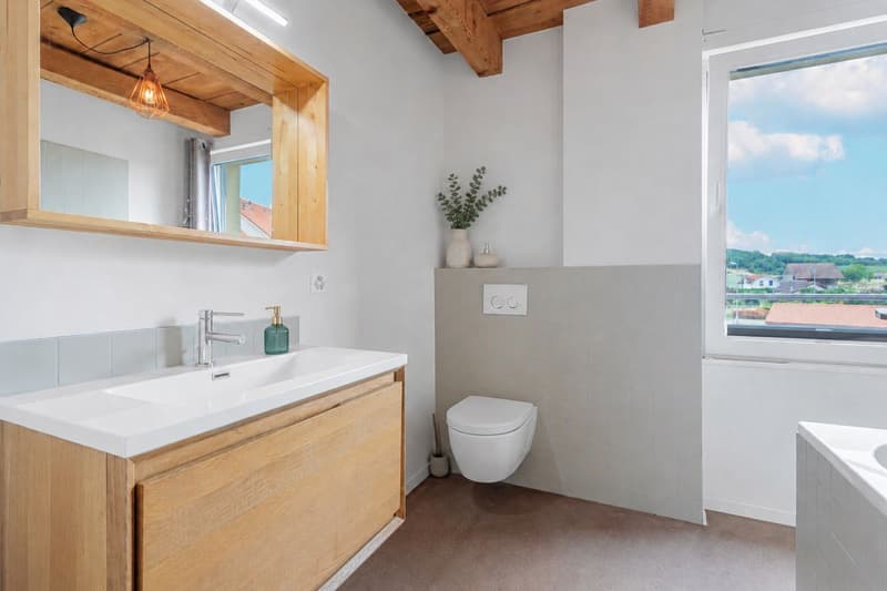 4.5 pièces plein de charme au coeur de Suscévaz (7)