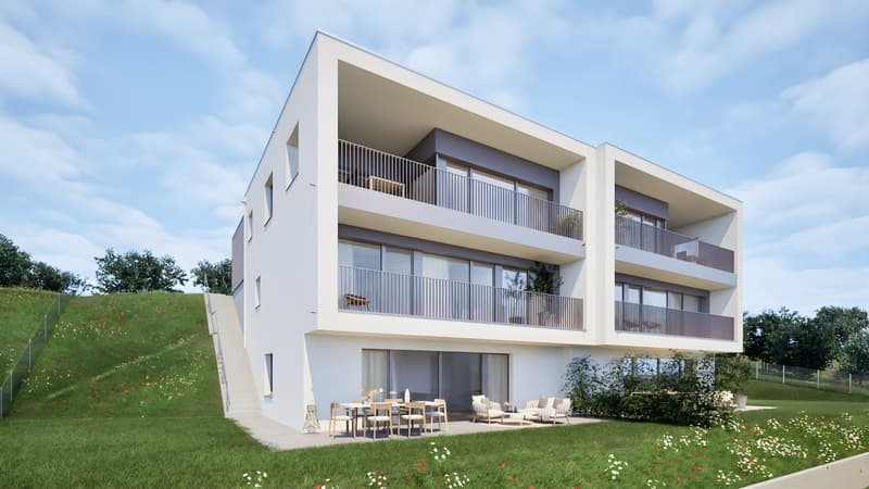 Spacious 6.5-room house - Coteaux - A2 (8)