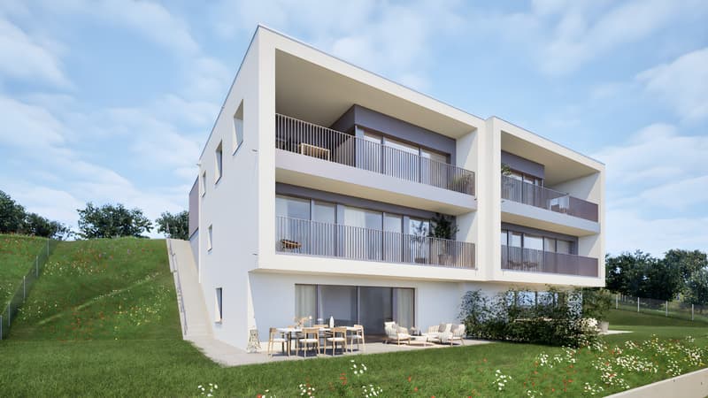 Villa mitoyenne contemporaine de 6,5 pièces. (6)