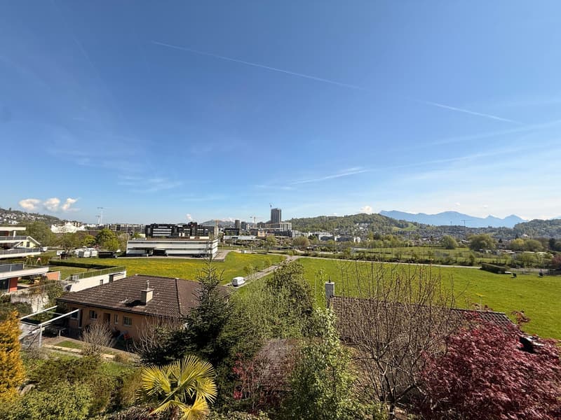 Sunny peaceful with far-reaching views - interesting potential (2)