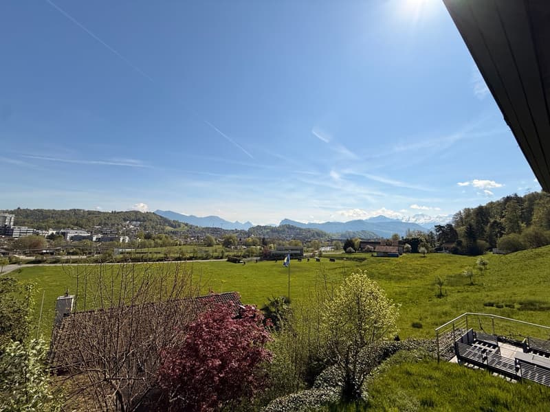 Sunny peaceful with far-reaching views - interesting potential (1)