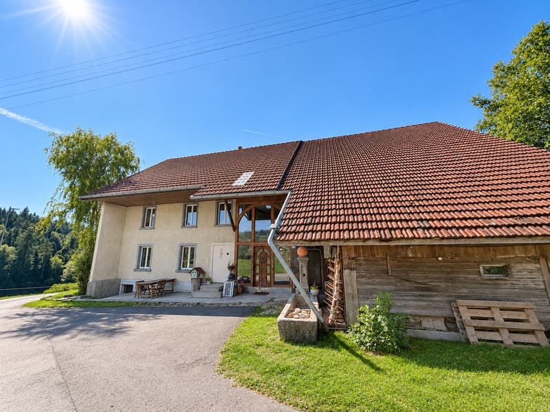Einfamilienhaus mit Charakter und vielseitigem Potenzial in Oberkulm (8)