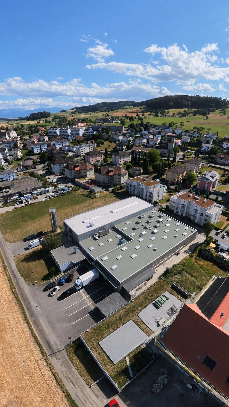 VIELSEITIGE UNTERNEHMENSLIEGENSCHAFT MIT LOGISTIK, BÜROS, BETRIEBSWOHNUNG UND TIEFKÜHLLAGER (1)