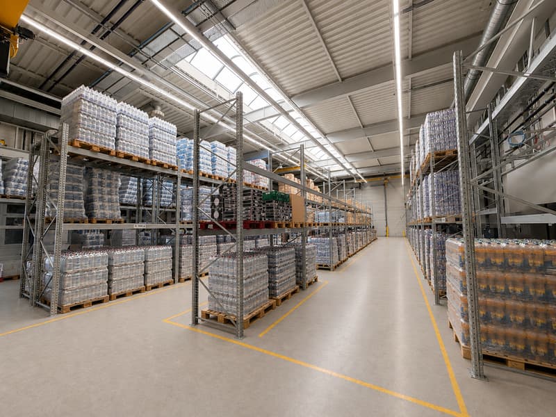 VIELSEITIGE UNTERNEHMENSLIEGENSCHAFT MIT LOGISTIK, BÜROS, BETRIEBSWOHNUNG UND TIEFKÜHLLAGER (6)