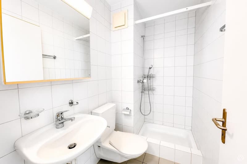 Charmante 4.5-Zimmer-Wohnung in Winikon – sofort verfügbar! (4)
