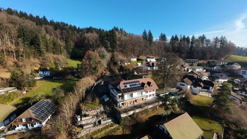 LUXUS, NATUR & PRIVATSPHÄRE AN ERHÖHTER LAGE (14)