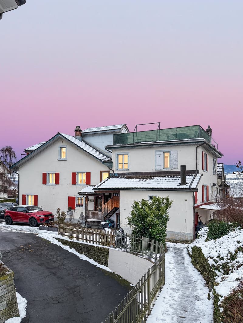 Where Lake Zurich becomes your direct neighbor (1)