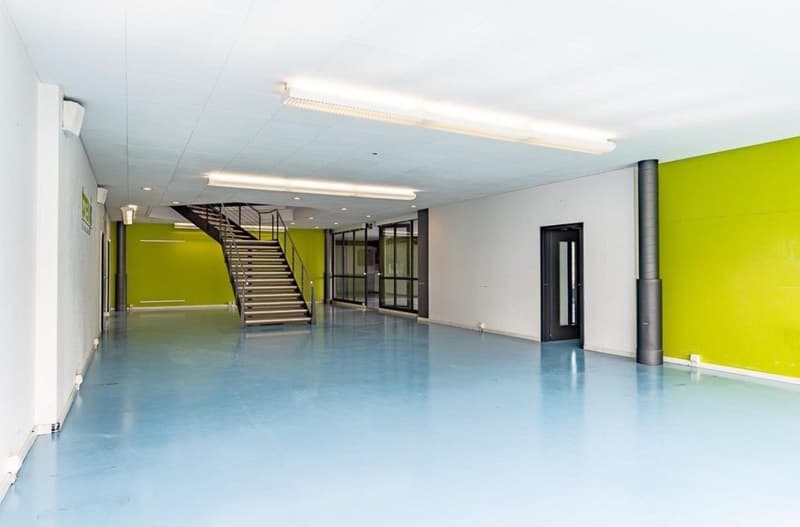 Empty room with white walls, blue floor, green accent wall, staircase, glass doors, ceiling lights
