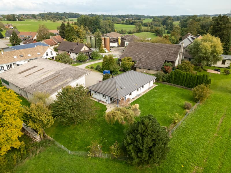 Charming bungalow with spacious garden (1)
