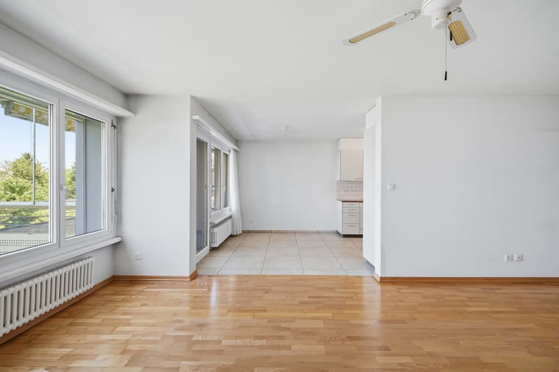 Appartement spacieux de 5,5 pièces avec deux balcons dans un quartier calme (2)