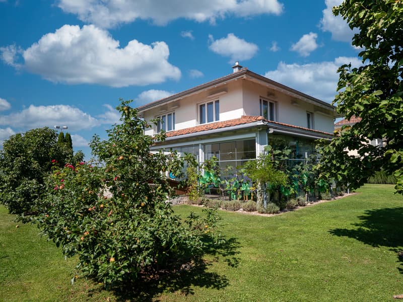 Family-friendly, spacious property with a Mediterranean flair (8)
