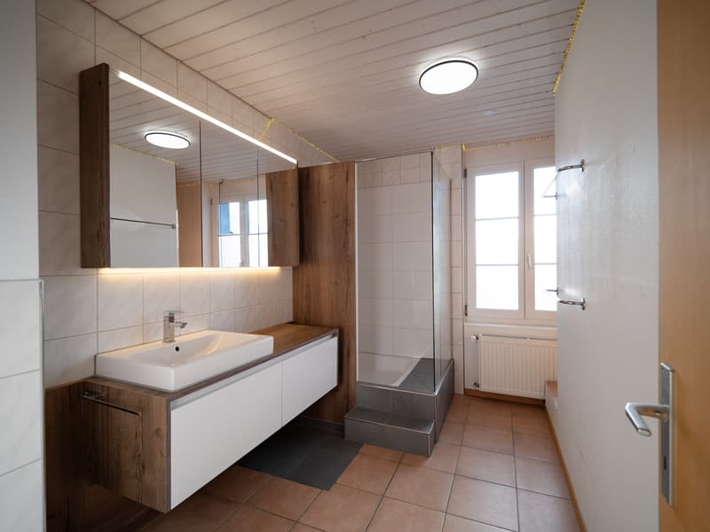 Kleines Bijou in Altnau (5)