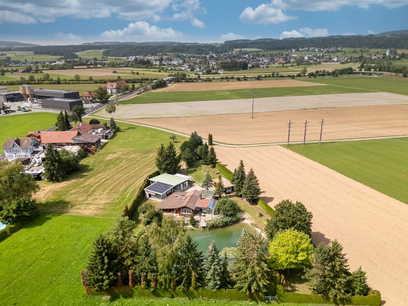 Wo Ruhe und Natur verschmelzen mit eigenem Weiher (3)