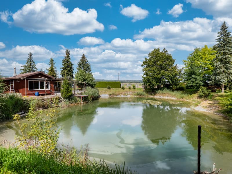 Wo Ruhe und Natur verschmelzen mit eigenem Weiher (5)