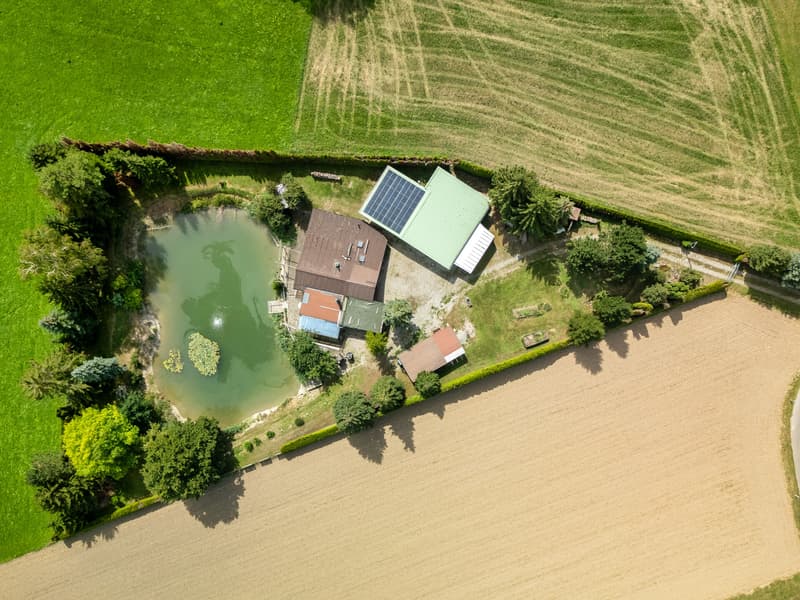 Wo Ruhe und Natur verschmelzen mit eigenem Weiher (2)