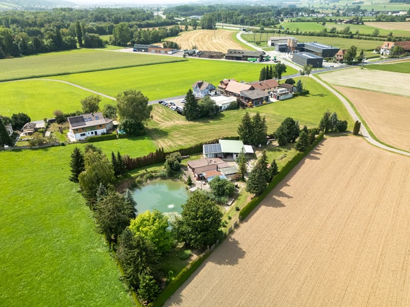 Wo Ruhe und Natur verschmelzen mit eigenem Weiher (4)
