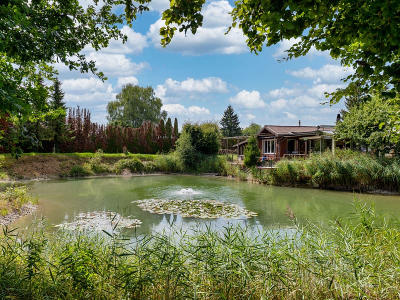 Wo Ruhe und Natur verschmelzen mit eigenem Weiher (6)