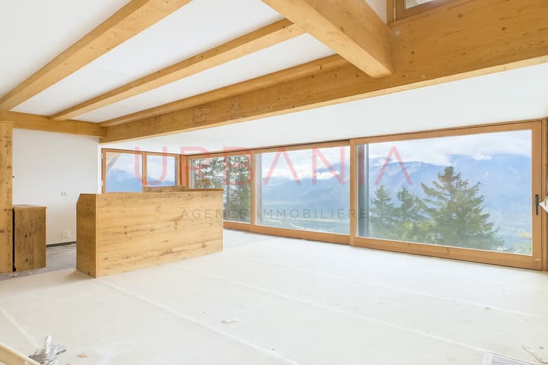 Appartement neuf duplex en attique - 3 chambres (4)