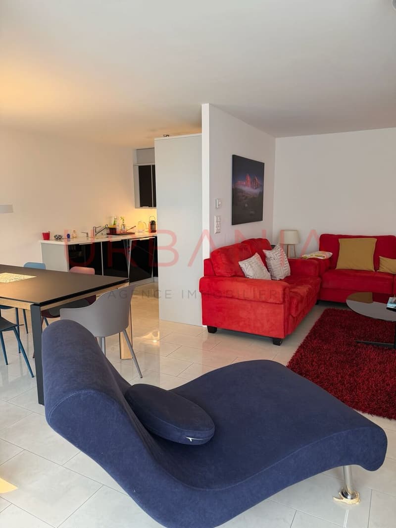 Superbe appartement contemporain avec vue lac (3)