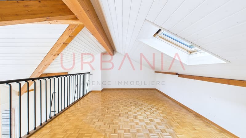 Magnifique appartement de 191m² avec terrasse et mezzanine (10)