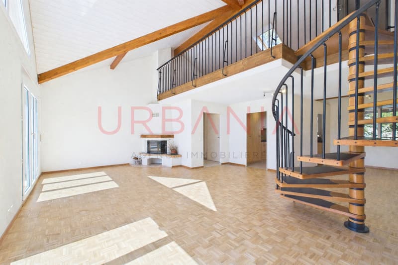 Magnifique appartement de 191m² avec terrasse et mezzanine (2)
