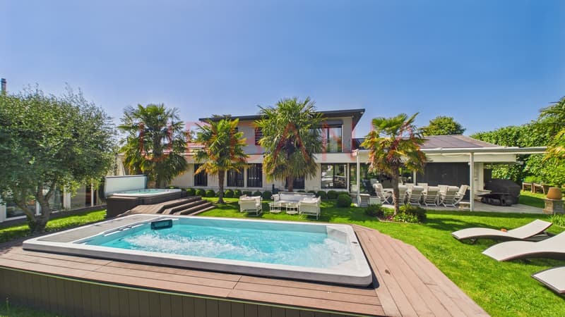 Villa familiale rénovée avec piscine et grand terrain (1)