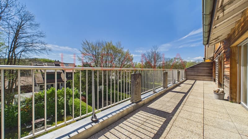 Magnifique appartement de 191m² avec terrasse et mezzanine (8)